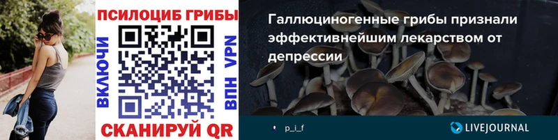 наркошоп  Десногорск  shop официальный сайт  Псилоцибиновые грибы Psilocybe 